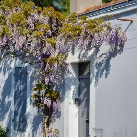 Appartement 4 A 6 Pers Noirmoutier En L'Ile *